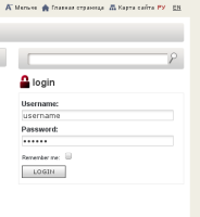 login_form.png